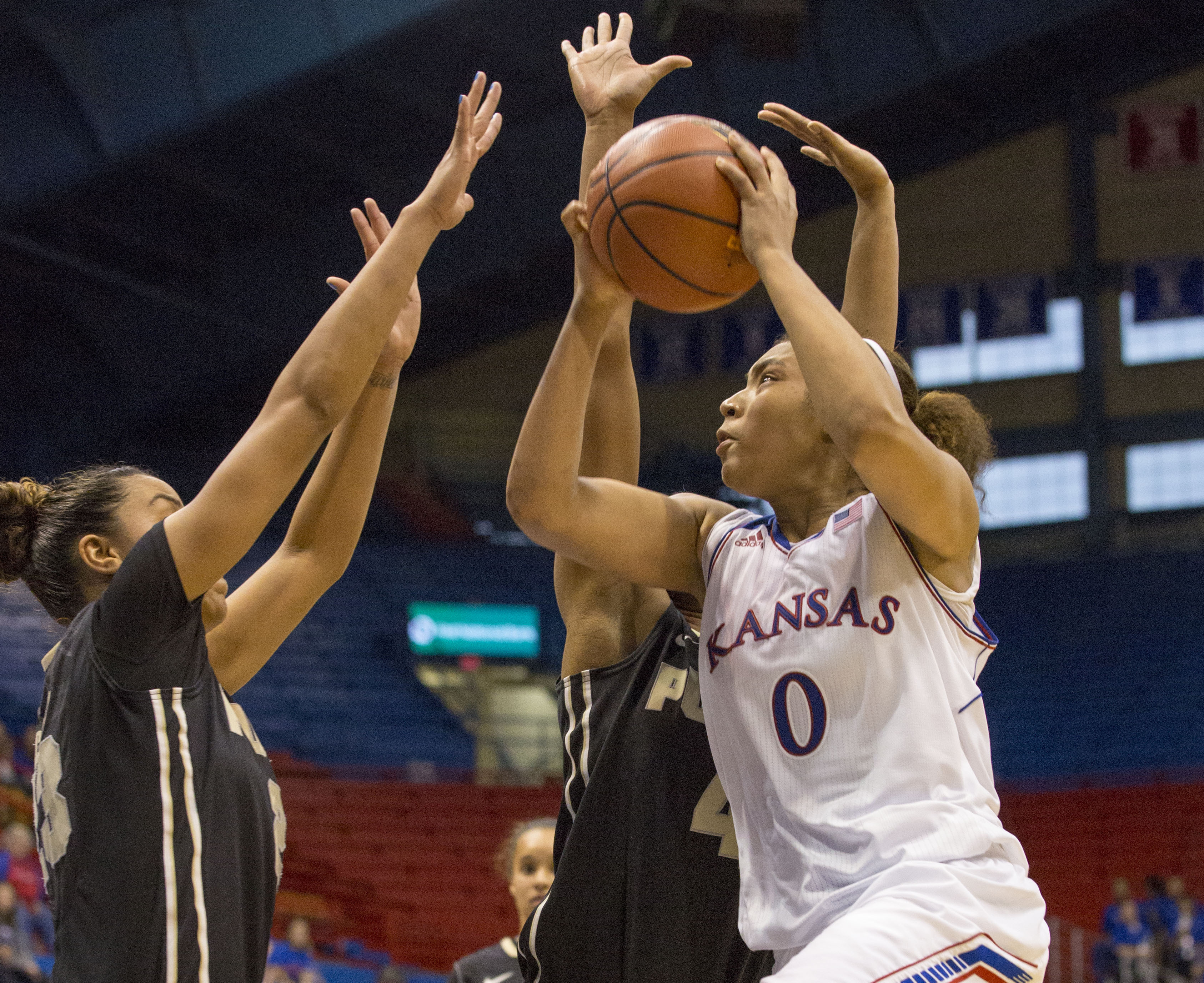 Photo gallery Kansas Women’s Basketball vs. Purdue News, Sports